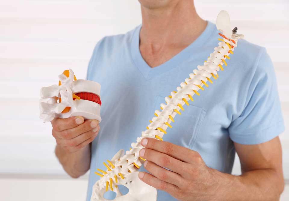 Chiropractor in Draper, UT | Your Path to Pain-Free Living