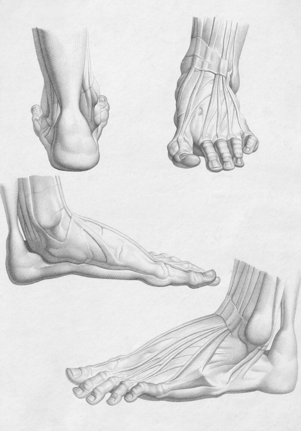 Shockwave Therapy for Plantar Fasciitis